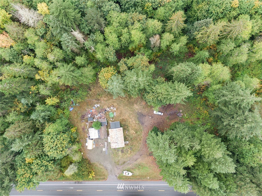 12315 Littlerock Road Southwest Olympia, WA 98512 - Photo 25 of 38 a view of a yard with plants and large trees