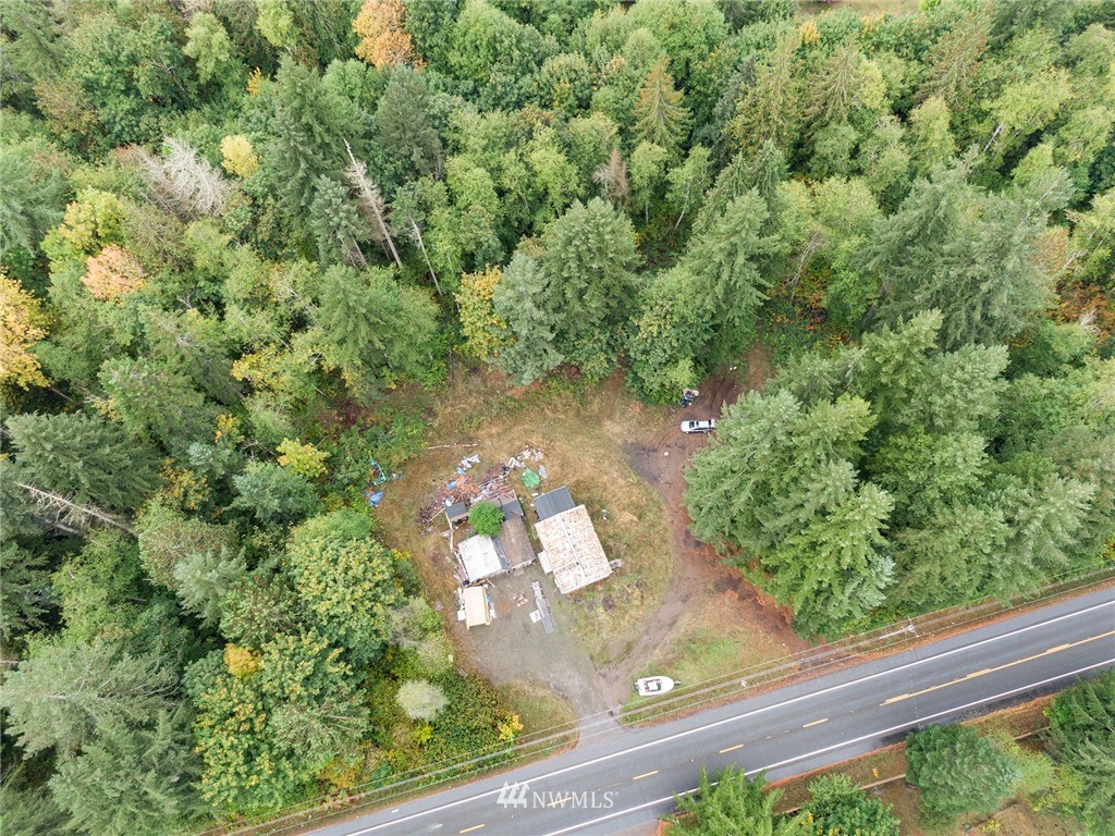 12315 Littlerock Road Southwest Olympia, WA 98512 - Photo 29 of 38 a view of a yard with plants