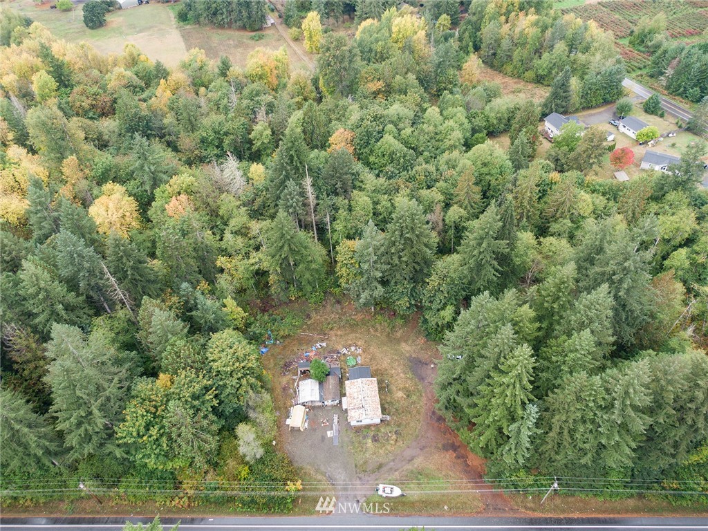 12315 Littlerock Road Southwest Olympia, WA 98512 - Photo 30 of 38 a view of a yard with plants