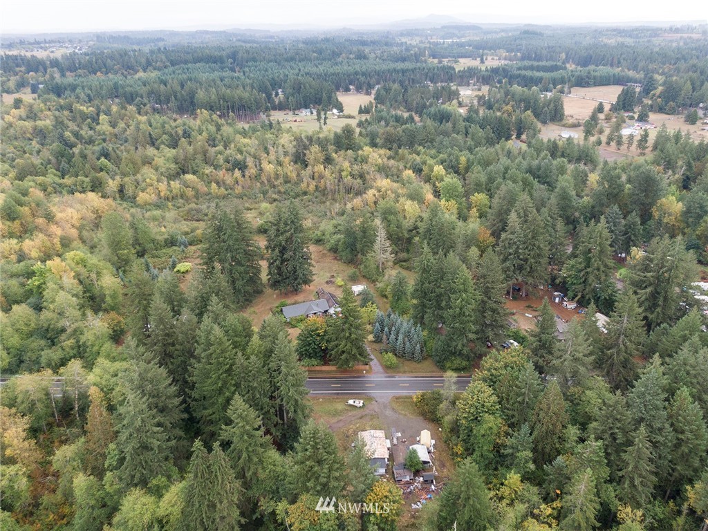 12315 Littlerock Road Southwest Olympia, WA 98512 - Photo 33 of 38 an aerial view of forest
