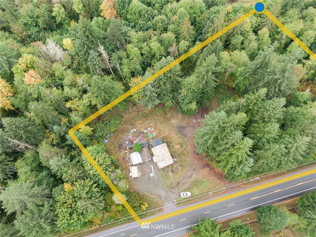 12315 Littlerock Road Southwest Olympia, WA 98512 - Photo 35 of 38 a view of a forest with a bench