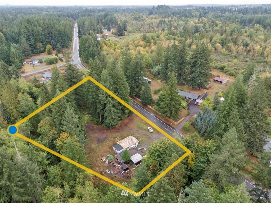 12315 Littlerock Road Southwest Olympia, WA 98512 - Photo 38 of 38 a view of a forest from a balcony