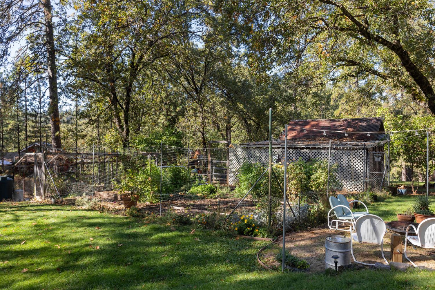 790 Pine Knoll Road Applegate, CA 95703 - Photo 15 of 81