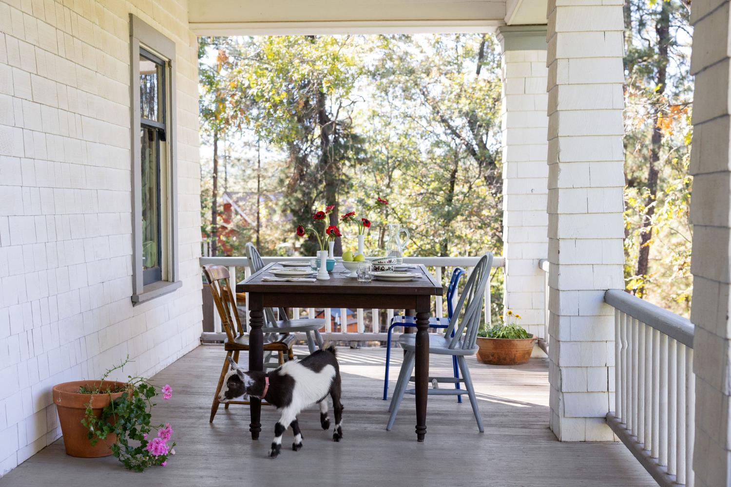 790 Pine Knoll Road Applegate, CA 95703 - Photo 18 of 81 a dining room with furniture and window