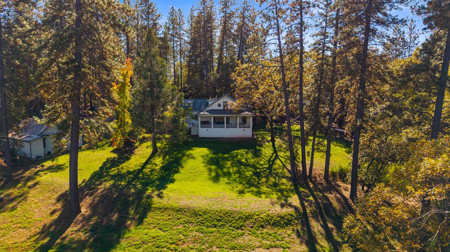 790 Pine Knoll Road Applegate, CA 95703 - Photo 23 of 81