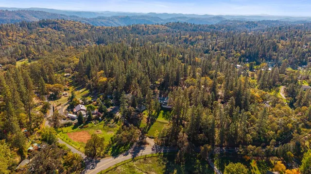 a view of a yard with plants and trees