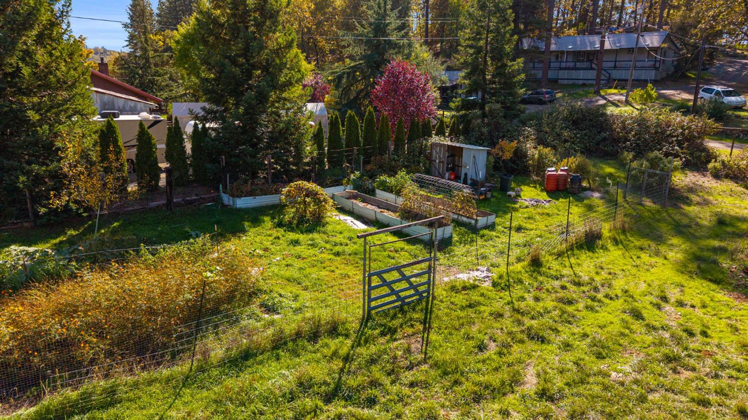 790 Pine Knoll Road Applegate, CA 95703 - Photo 31 of 81 a backyard of a house with lots of green space and fountain