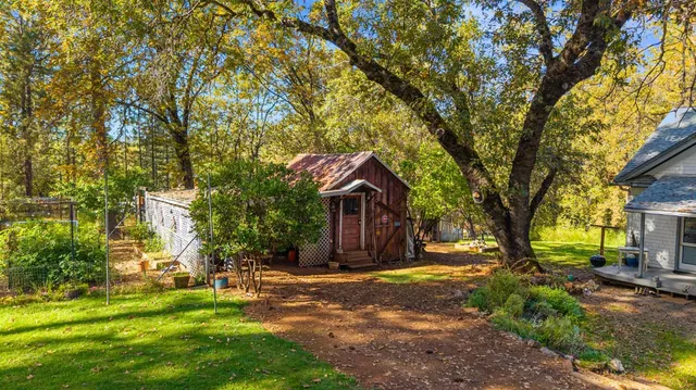 a view of a yard in front of a house with a large tree