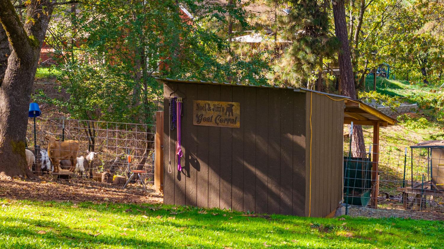 790 Pine Knoll Road Applegate, CA 95703 - Photo 50 of 81