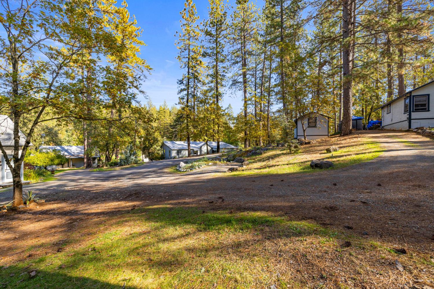 790 Pine Knoll Road Applegate, CA 95703 - Photo 61 of 81 a view of yard with swimming pool and trees