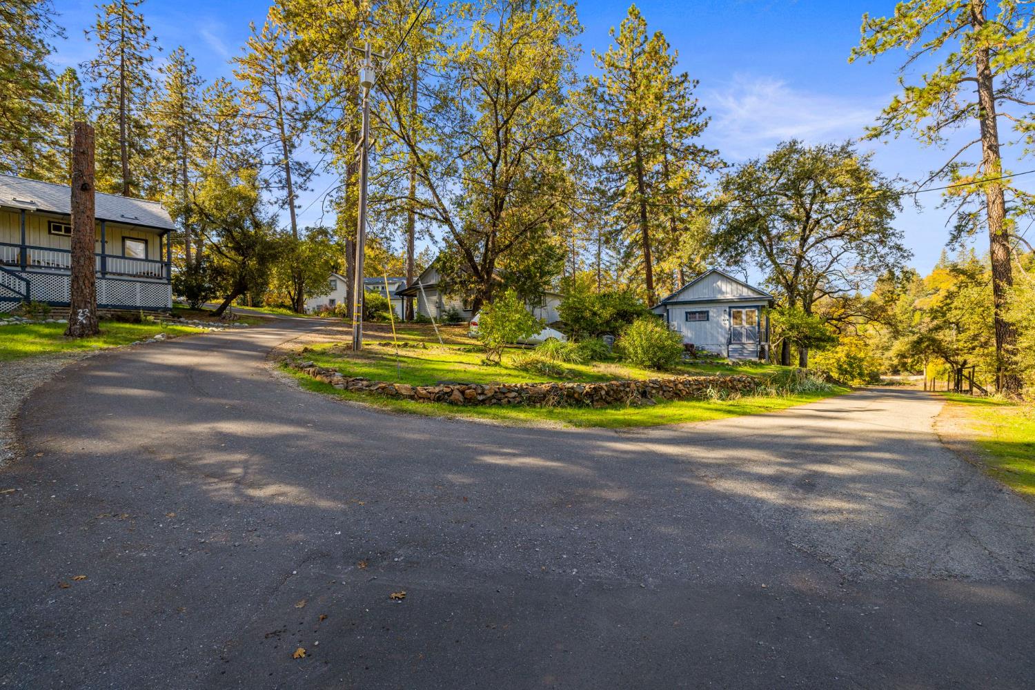 790 Pine Knoll Road Applegate, CA 95703 - Photo 77 of 81 a view of road with large trees