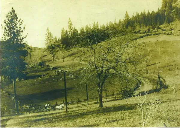 $1,925,000 | 790 Pine Knoll Road, Applegate, CA 95703