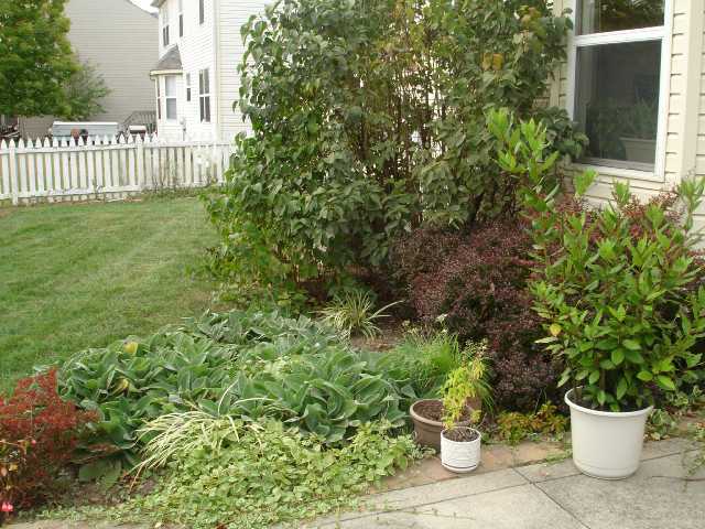 167 Drakewood Road Westerville, OH 43081 - Photo 10 of 14 Gallery Image 10