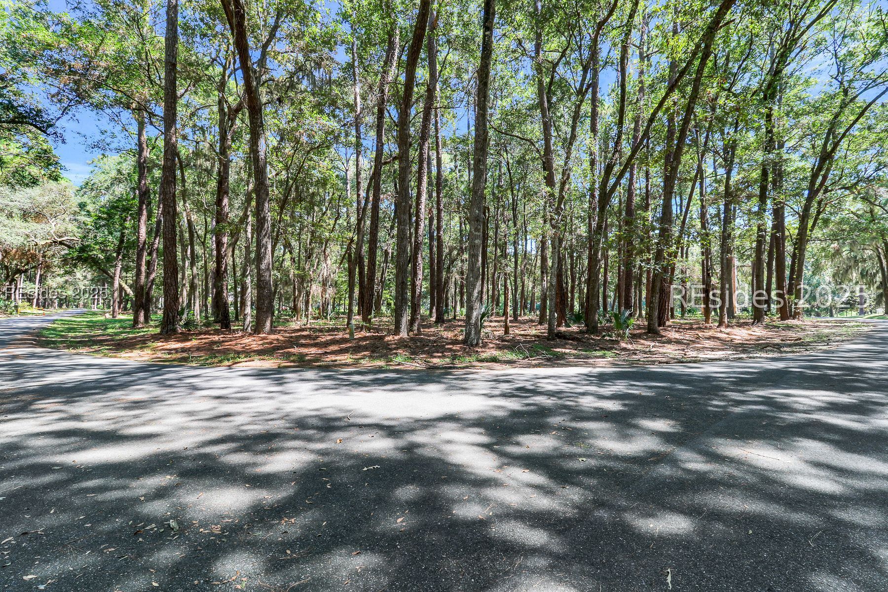 2 Volunteers Ridge Daufuskie Island, SC 29915 - Photo 3 of 15