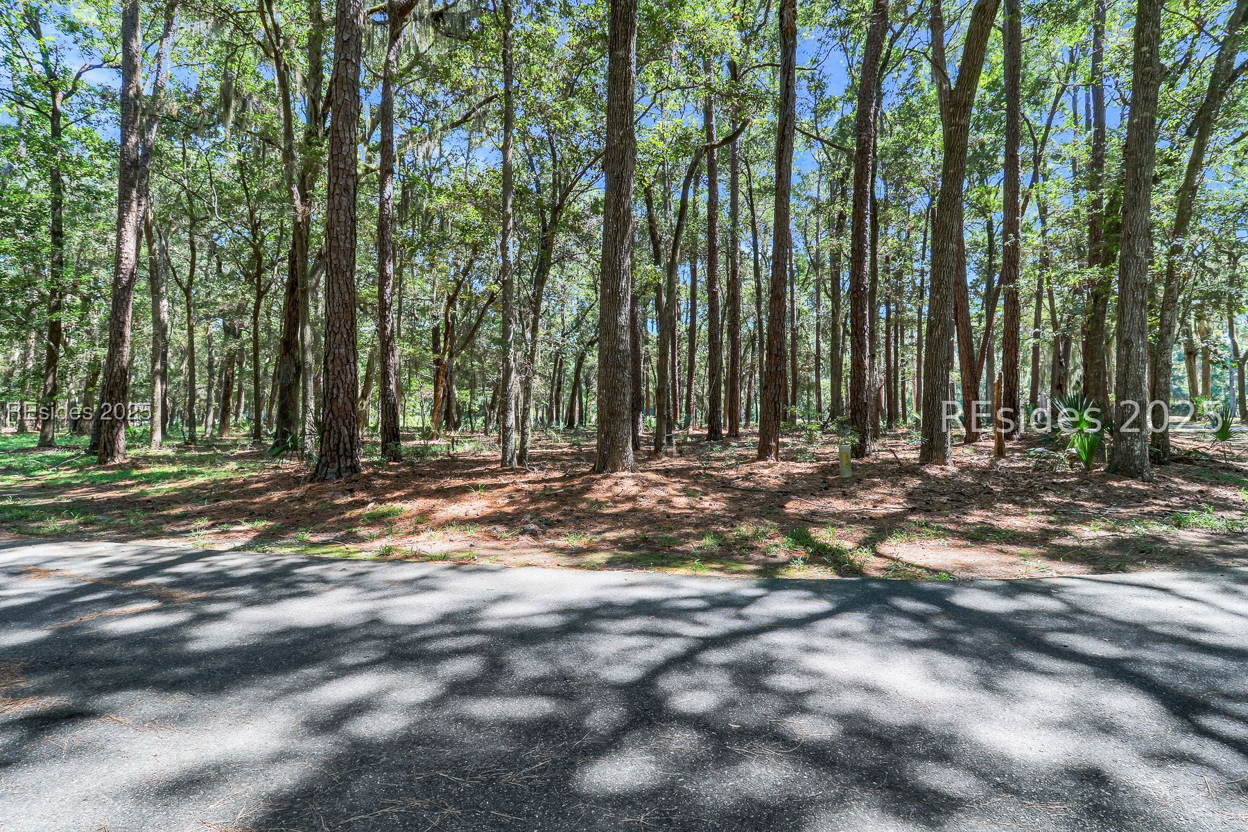 2 Volunteers Ridge Daufuskie Island, SC 29915 - Photo 4 of 15