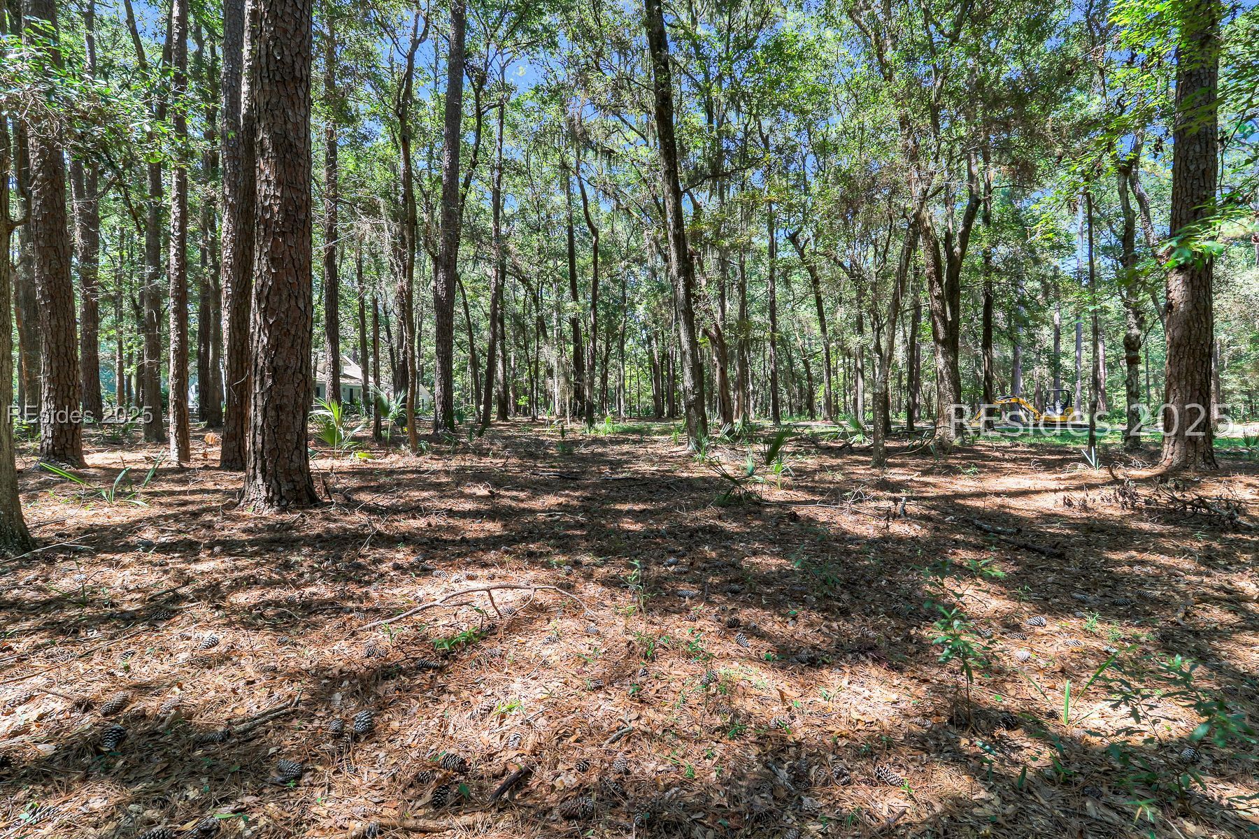 2 Volunteers Ridge Daufuskie Island, SC 29915 - Photo 6 of 15