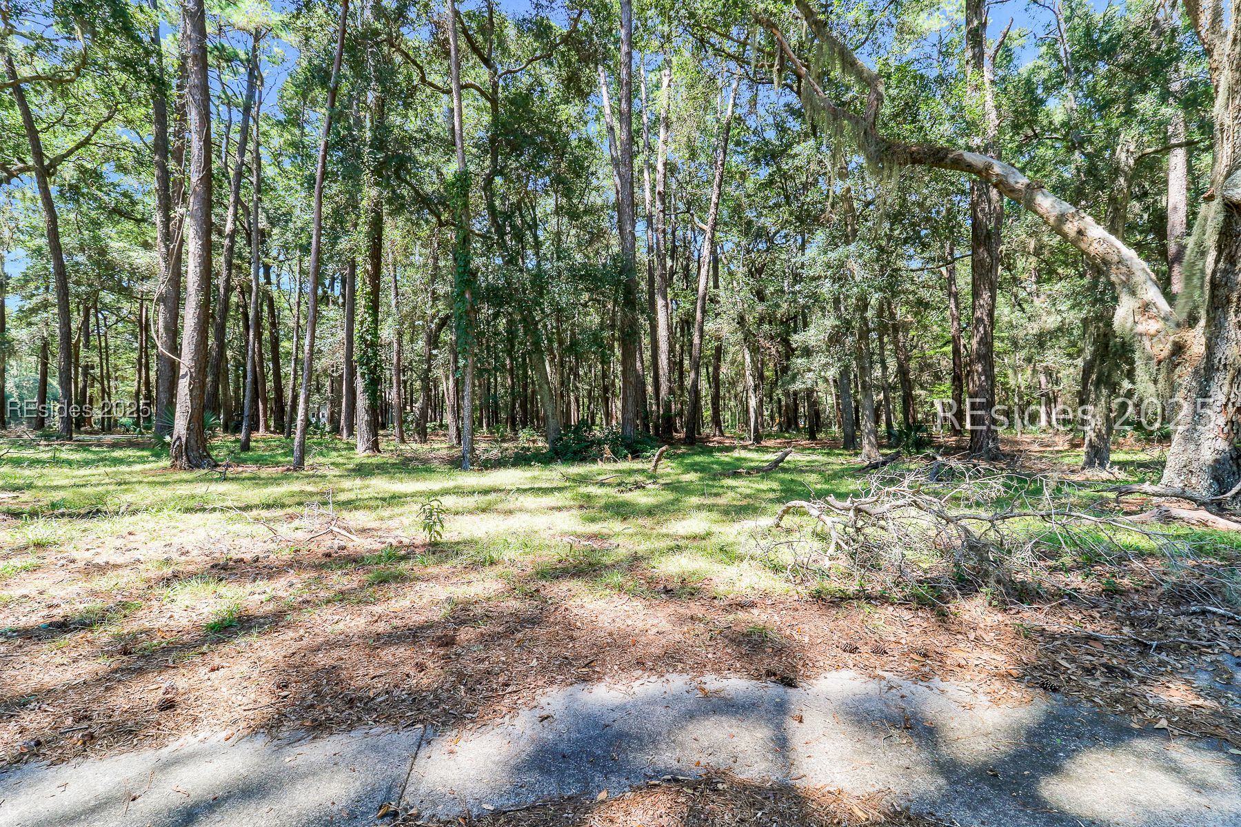 2 Volunteers Ridge Daufuskie Island, SC 29915 - Photo 7 of 15