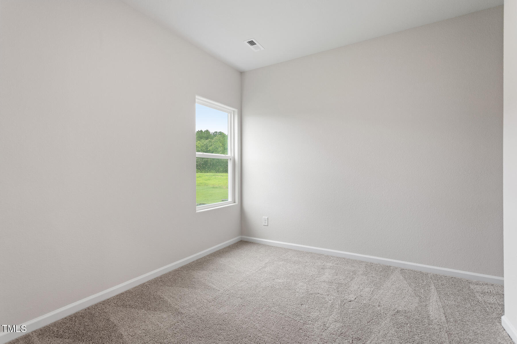 3836 Origin Drive Bailey, NC 27807 - Photo 19 of 20 Southeast_Alexander_R_019