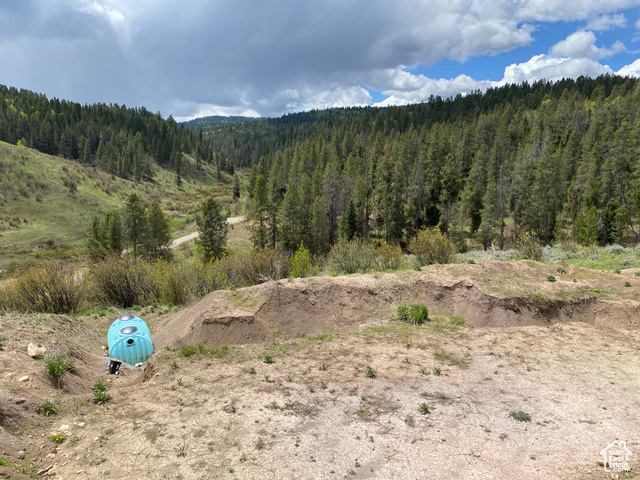 41 Grouse Loop Road, Unit 41 Freedom, WY 83120 - Photo 2 of 33 View of mountain background featuring a forest