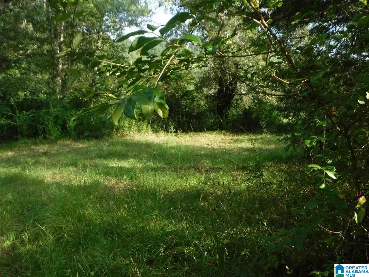 205 Venable Road Odenville, AL 35120 - Photo 8 of 11