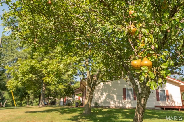 $559,900 | 21895 County Road 550, Bloomfield, MO 63825