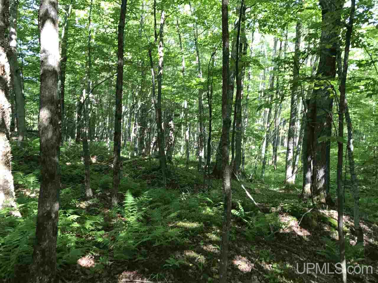 Tbd Aldrich Road Chassell, MI 49916 - Photo 4 of 16 Gallery Image 4