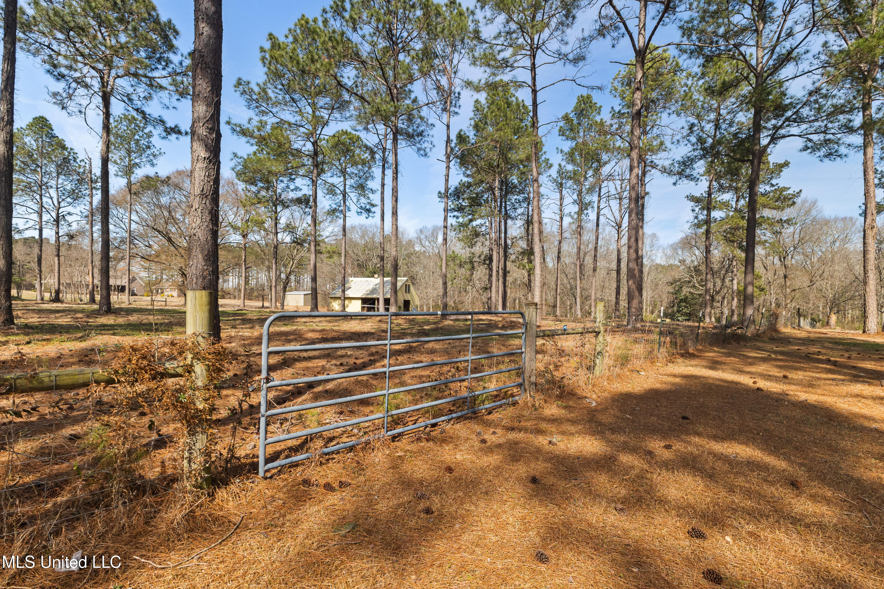 269 West Lake Road Hattiesburg, MS 39402 - Photo 76 of 111 269_W_Lake_Rd-78