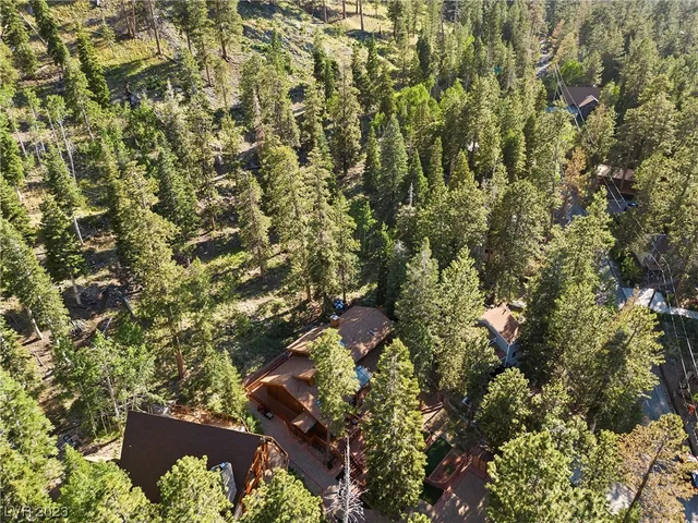 $1,149,000 | 4095 Tyrol Way, Mount Charleston, NV 89124