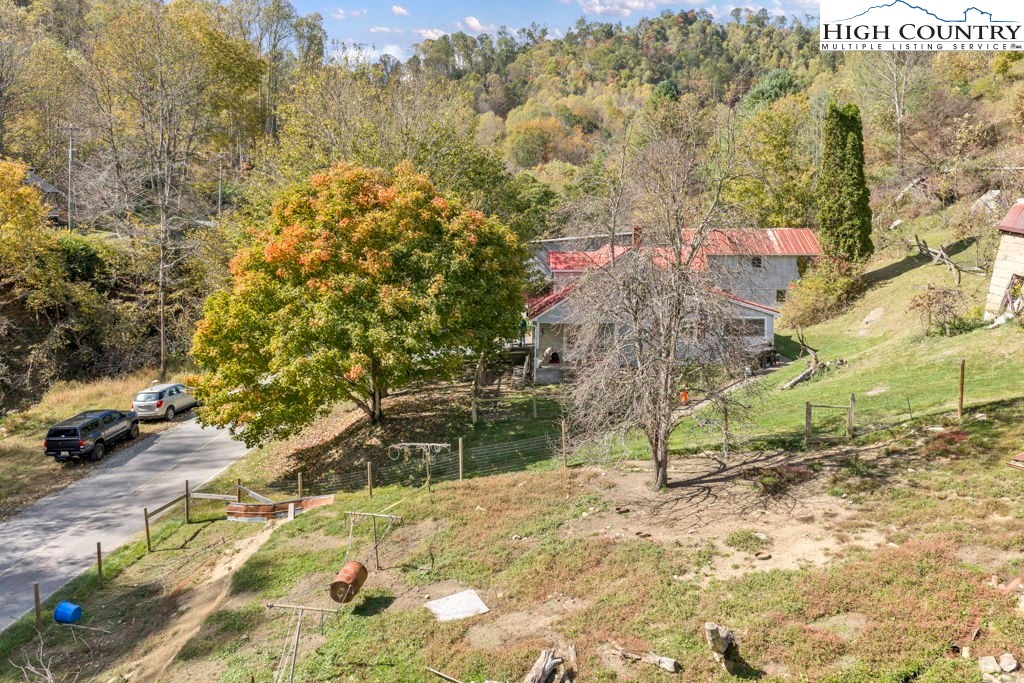 1068 Laurel Branch Road Vilas, NC 28692 - Photo 29 of 33 a view of a yard with plants and large trees