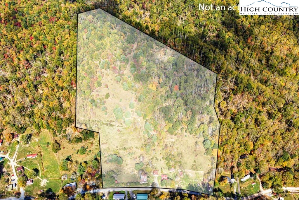 1068 Laurel Branch Road Vilas, NC 28692 - Photo 33 of 33 a close up of a shower curtain