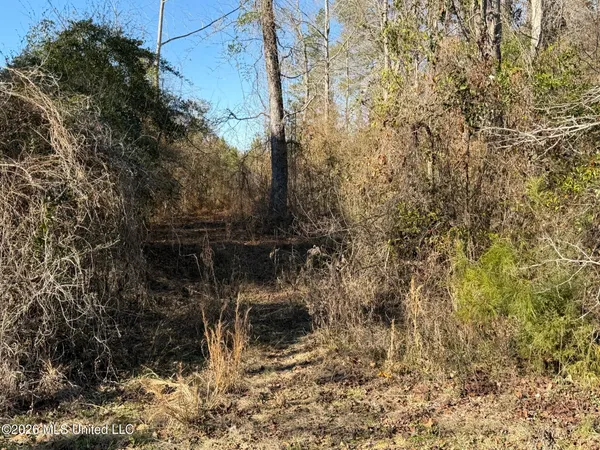 $169,000 | 0 Delancey Road, Braxton, MS 39044