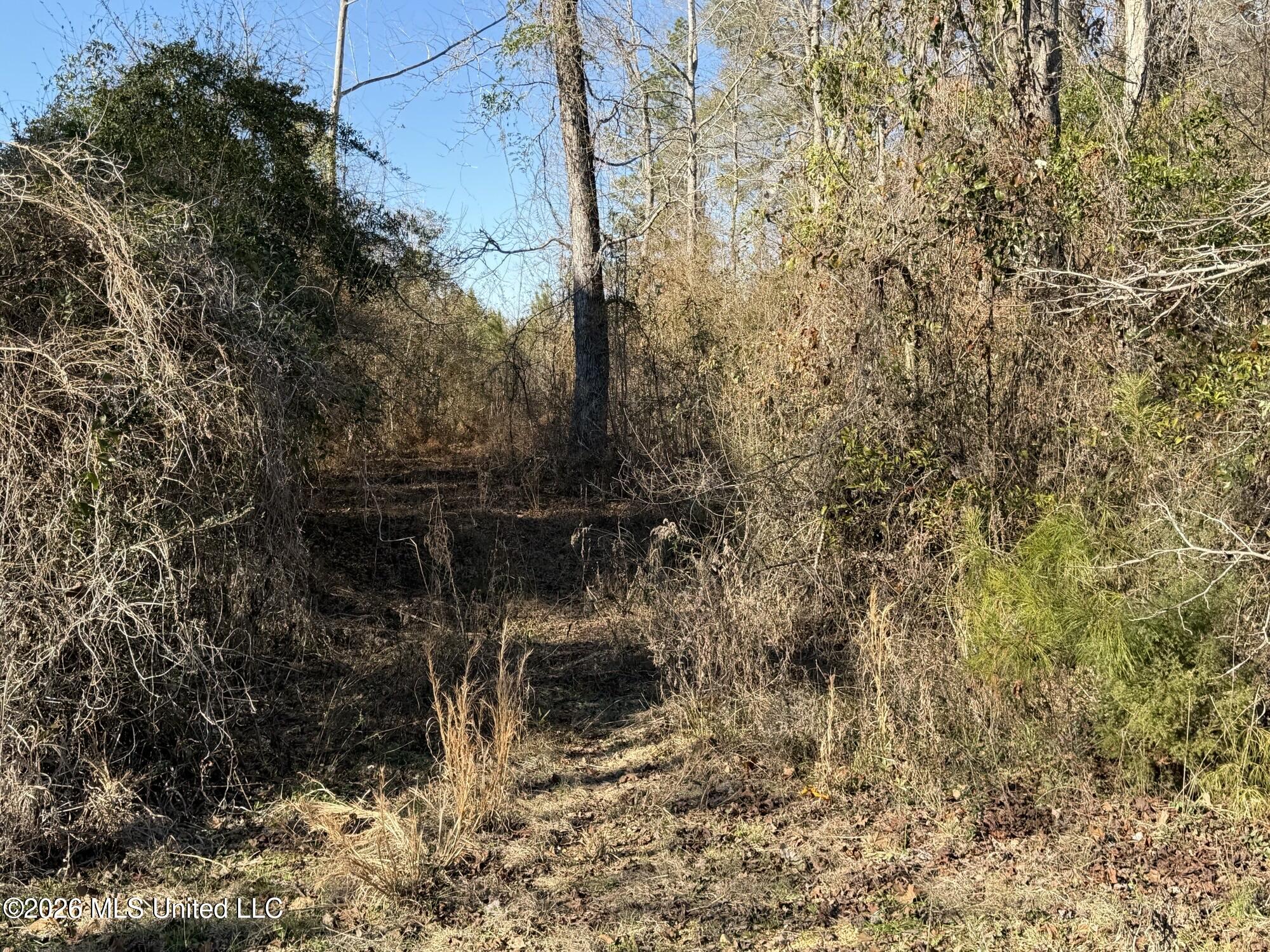 0 Delancey Road Braxton, MS 39044 - Photo 2 of 5 PIC 1