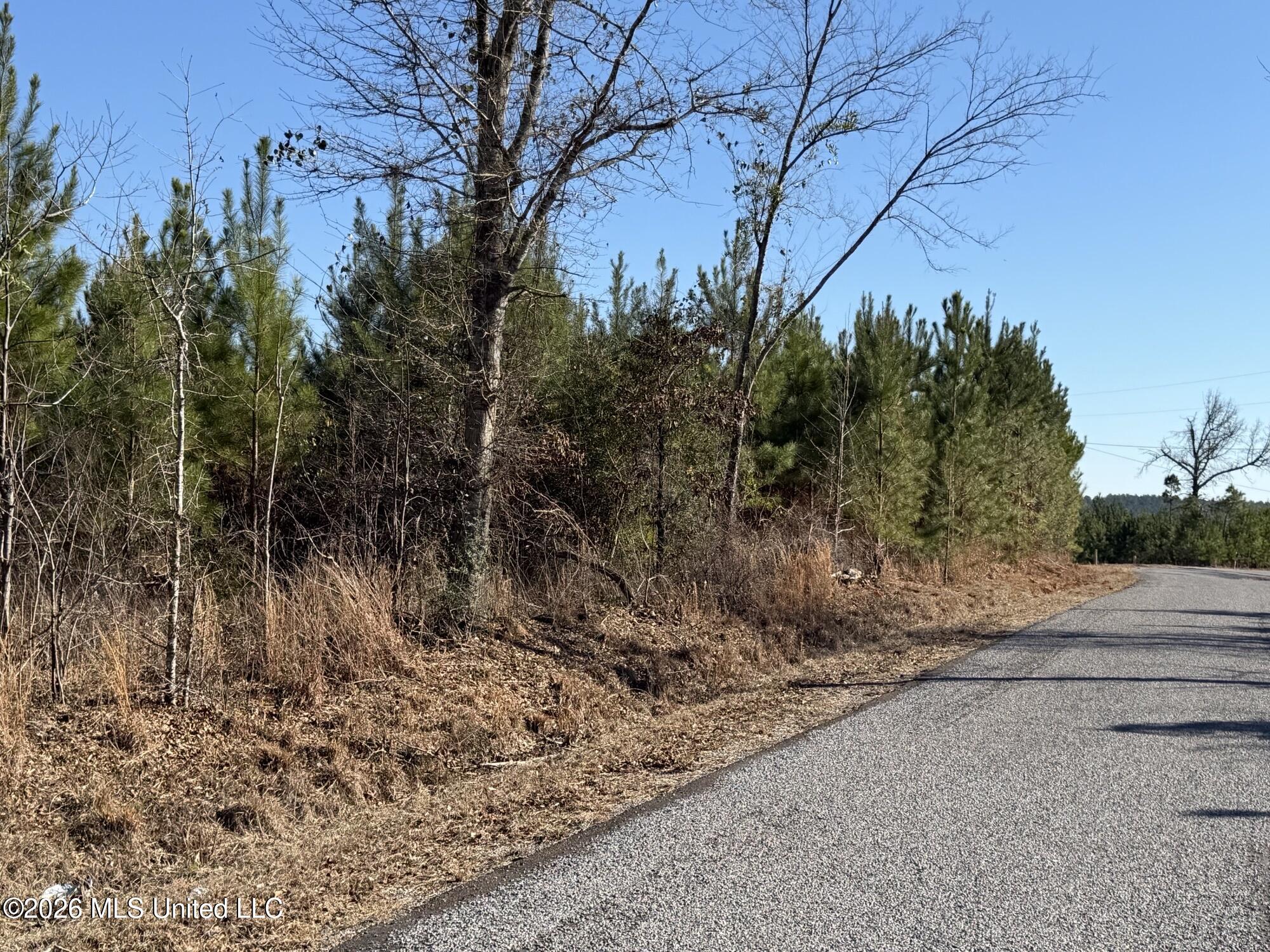 0 Delancey Road Braxton, MS 39044 - Photo 3 of 5 PIC 2