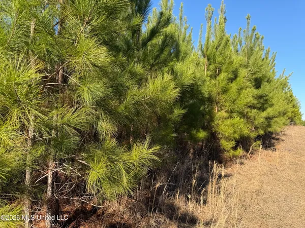 $169,000 | 0 Delancey Road, Braxton, MS 39044