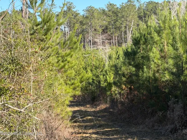 $169,000 | 0 Delancey Road, Braxton, MS 39044