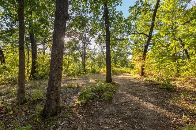 $319,000 | 0 Partridge Drive, Climax Springs, MO 65324