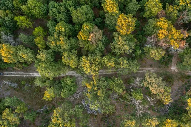 $319,000 | 0 Partridge Drive, Climax Springs, MO 65324