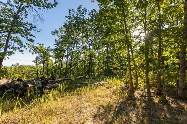 $319,000 | 0 Partridge Drive, Climax Springs, MO 65324