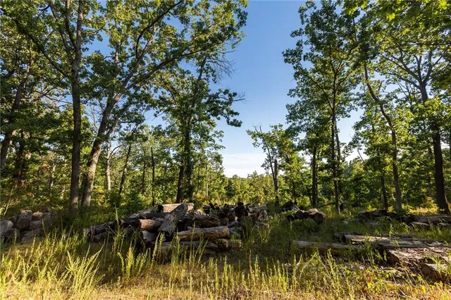 $319,000 | 0 Partridge Drive, Climax Springs, MO 65324