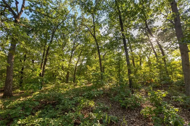 $319,000 | 0 Partridge Drive, Climax Springs, MO 65324