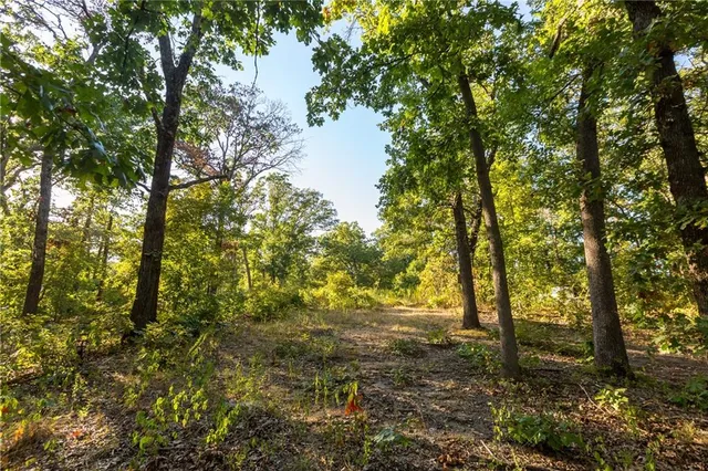 $319,000 | 0 Partridge Drive, Climax Springs, MO 65324