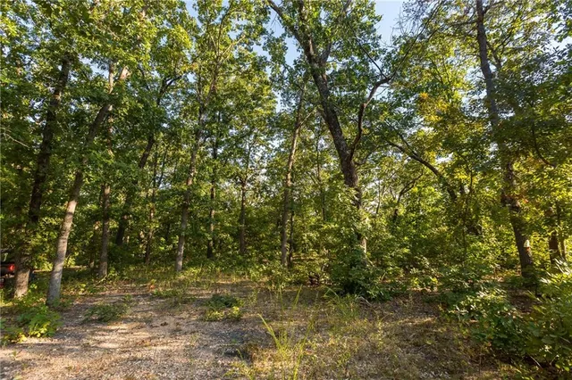 $319,000 | 0 Partridge Drive, Climax Springs, MO 65324