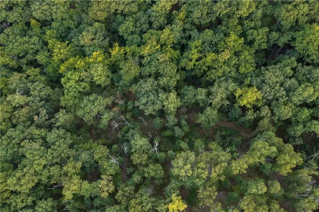 $319,000 | 0 Partridge Drive, Climax Springs, MO 65324