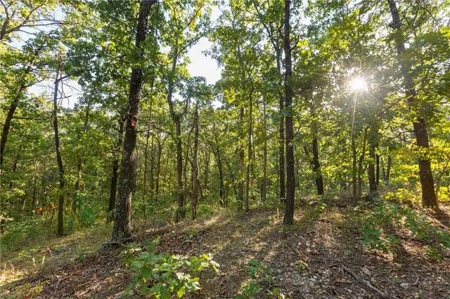 $319,000 | 0 Partridge Drive, Climax Springs, MO 65324