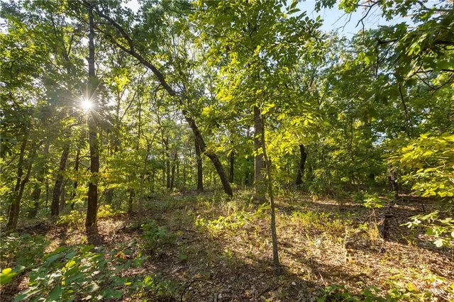 $319,000 | 0 Partridge Drive, Climax Springs, MO 65324