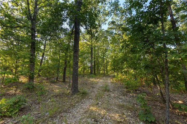 $319,000 | 0 Partridge Drive, Climax Springs, MO 65324