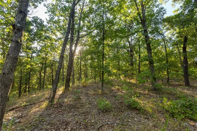 $319,000 | 0 Partridge Drive, Climax Springs, MO 65324