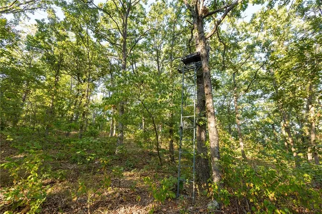 $319,000 | 0 Partridge Drive, Climax Springs, MO 65324