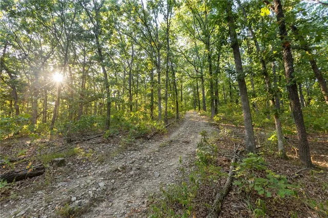 $319,000 | 0 Partridge Drive, Climax Springs, MO 65324