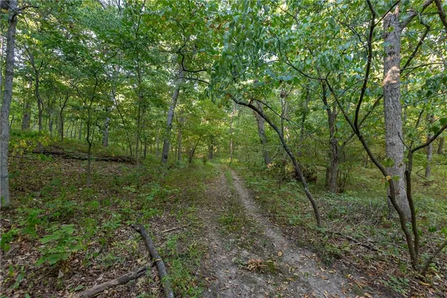 $319,000 | 0 Partridge Drive, Climax Springs, MO 65324